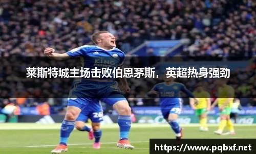 智博19有限公司