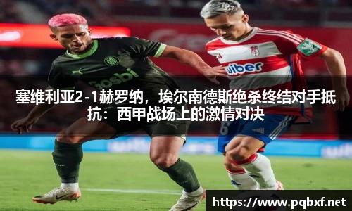 智博19有限公司