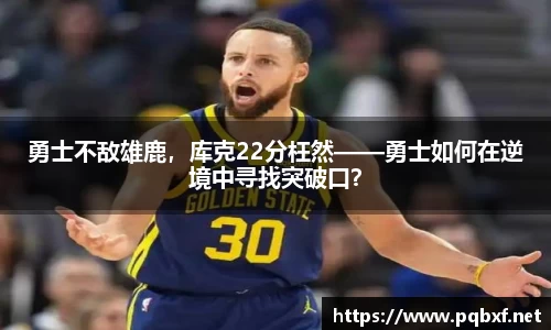 智博19有限公司