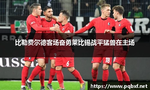 智博19有限公司