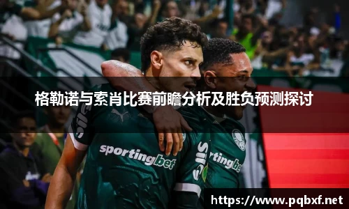 智博19有限公司