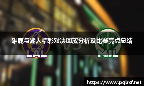 智博19有限公司