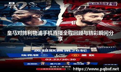 智博19有限公司