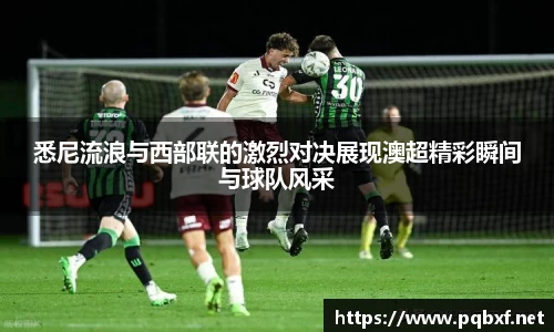 智博19有限公司