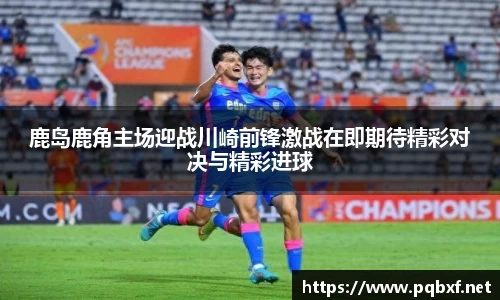 智博19有限公司