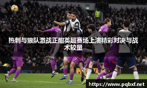 智博19有限公司