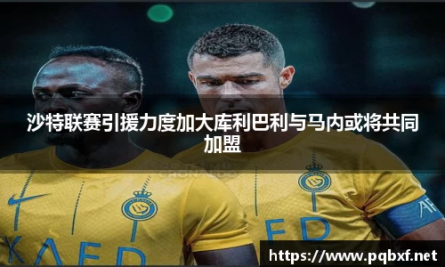 智博19有限公司