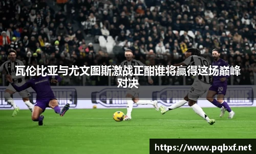 智博19有限公司