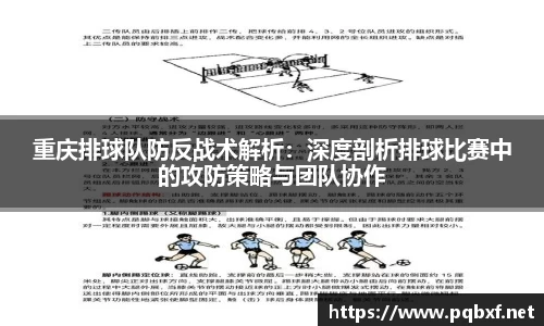 智博19有限公司