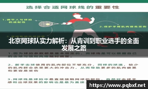 智博19有限公司