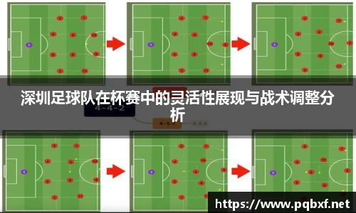 智博19有限公司