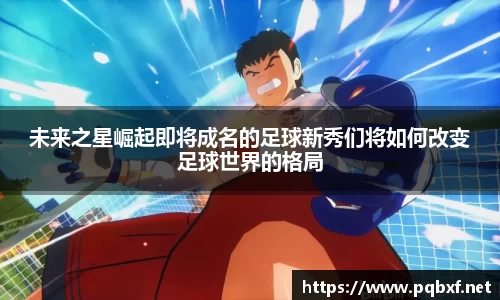 智博19有限公司