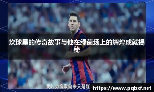 智博19有限公司