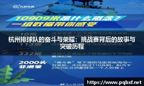 杭州排球队的奋斗与荣耀：挑战赛背后的故事与突破历程